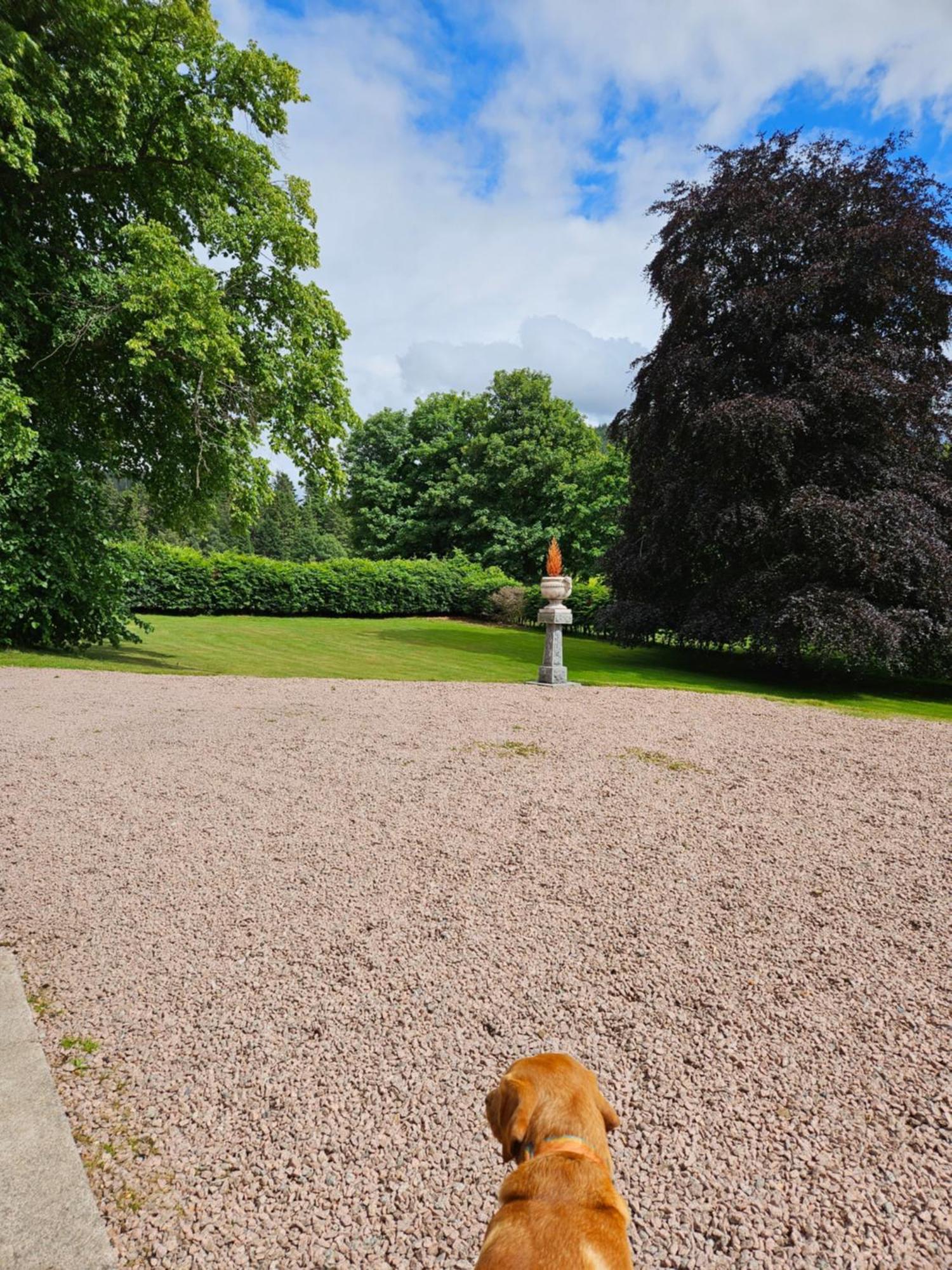 Craggan Bed & Breakfast Ballater Luaran gambar